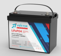 LFP 12,8-200 Smart BMS 100A  (Bluetooth 4.0)